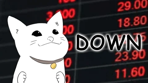 Nervous cat staring at red prices plummeting on a stock ticker